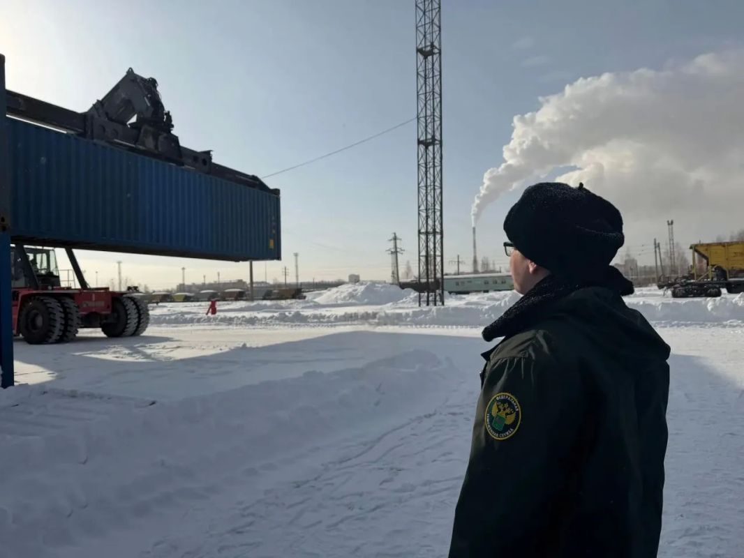 Сегодня свой профессиональный праздник отмечают сотрудники таможни Сегодня свой профессиональный праздник отмечают сотрудники таможни
