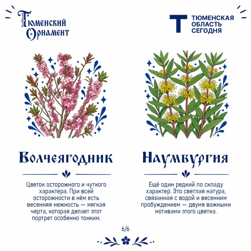 Какой характер у северных растений? Какой характер у северных растений?