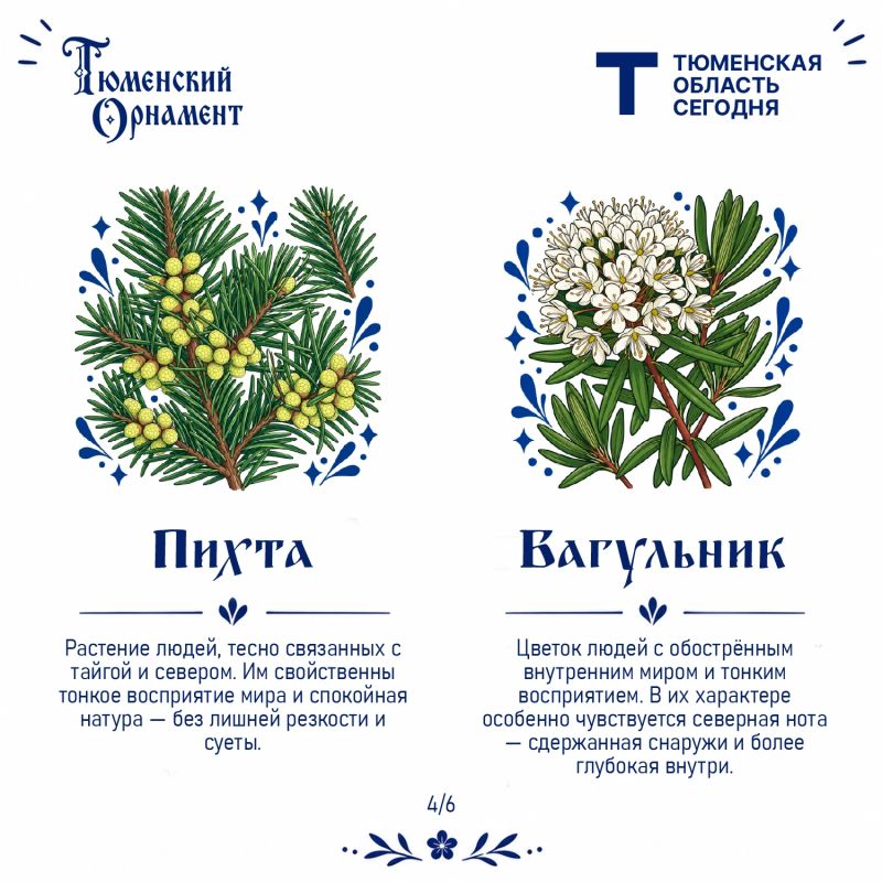 Какой характер у северных растений? Какой характер у северных растений?