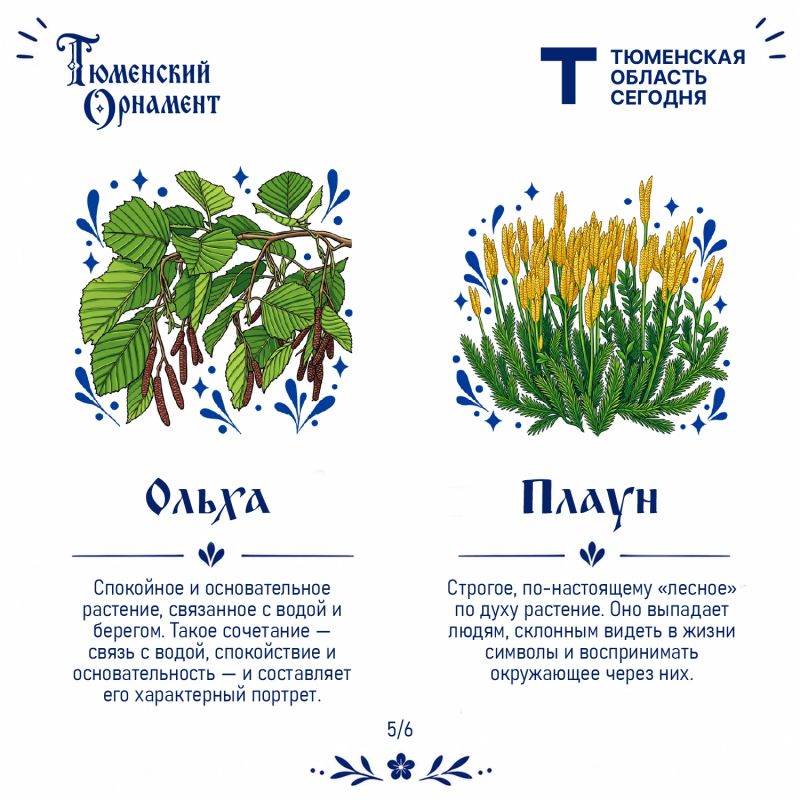 Какой характер у северных растений? Какой характер у северных растений?