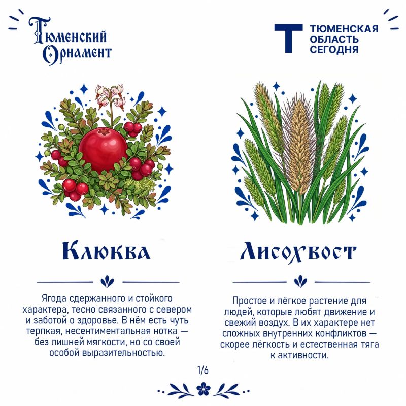 Какой характер у северных растений?