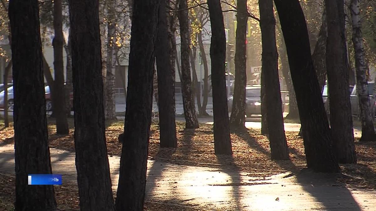Ямочный ремонт . Перед наступлением холодов в Тюмени усиливают контроль за состоянием дорог