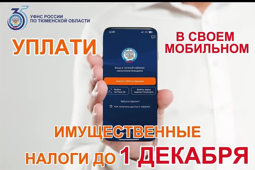 1 декабря 2026 года - срок уплаты налогов