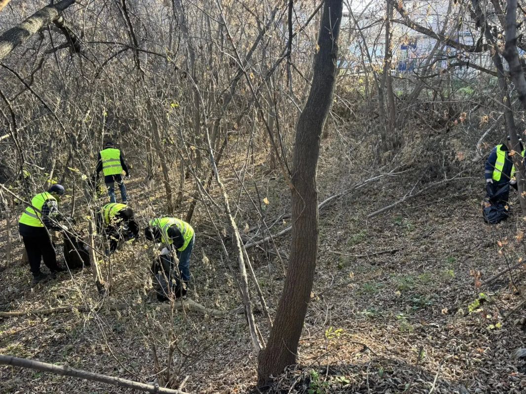 Субботник в логу реки Тюменка: забота о городе — дело общее! Субботник в логу реки Тюменка: забота о городе — дело общее!