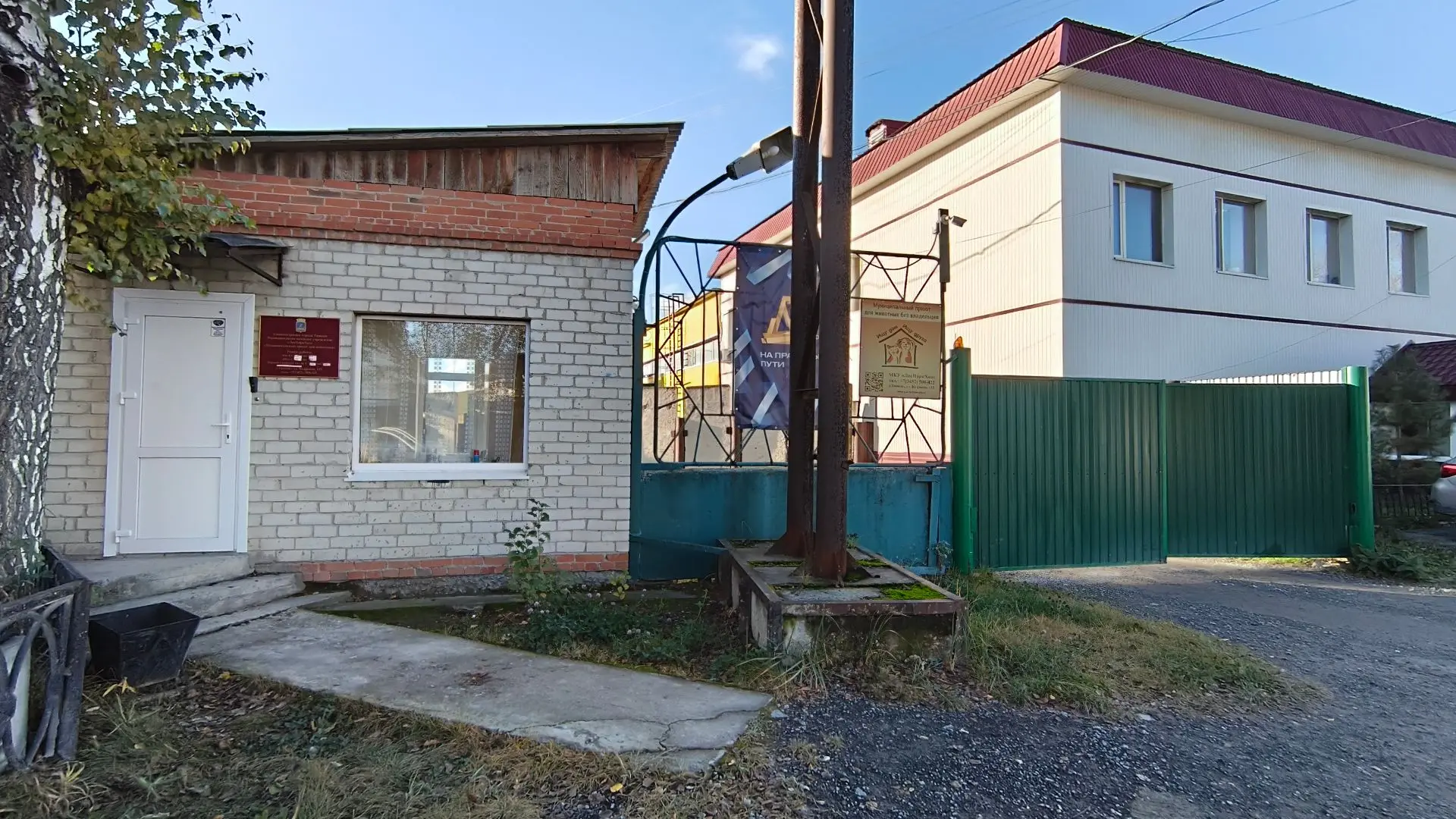 Как устроен главный приют для животных Тюмени: онлайн-экскурсия и правила посещения