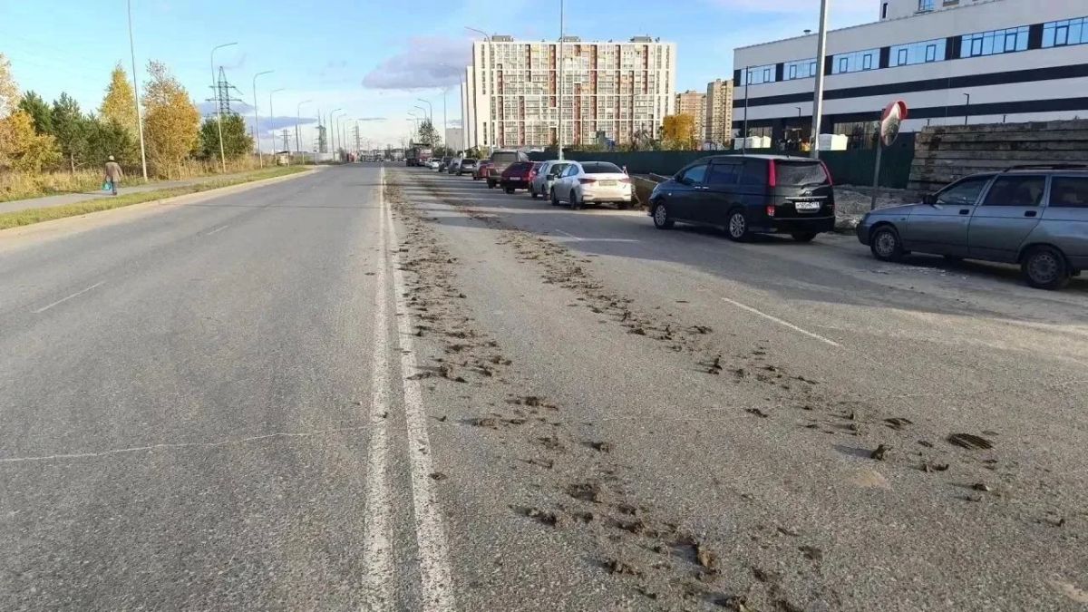 В Калининском округе держат руку на пульсе чистоты и порядка! В Калининском округе держат руку на пульсе чистоты и порядка!