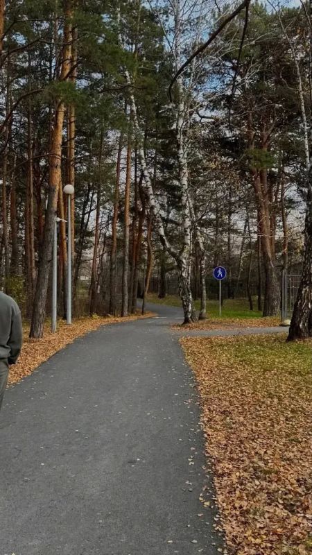 Осенняя Гилевка Осенняя Гилевка
