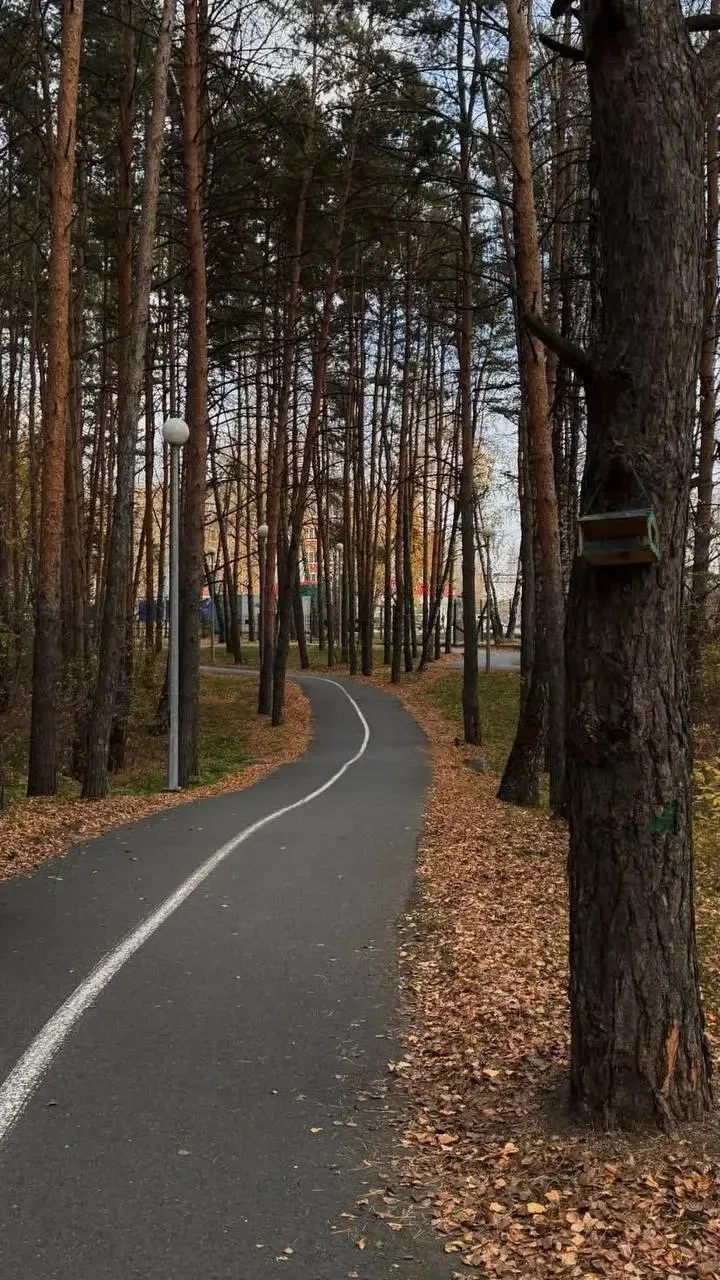 Осенняя Гилевка