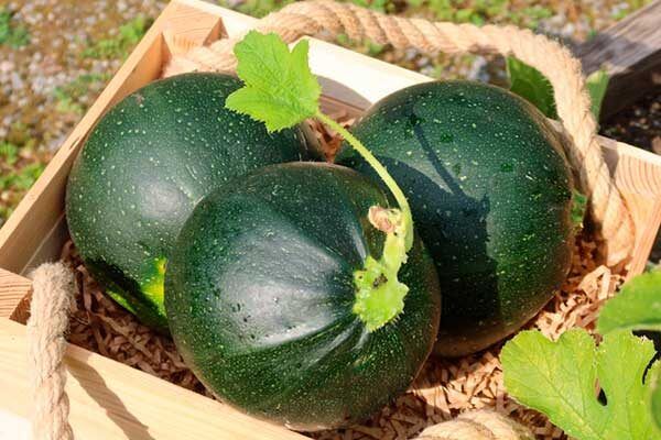 ��������� ������� ��������: ��� ��������� ������� � �������� ������ �� ����� �������