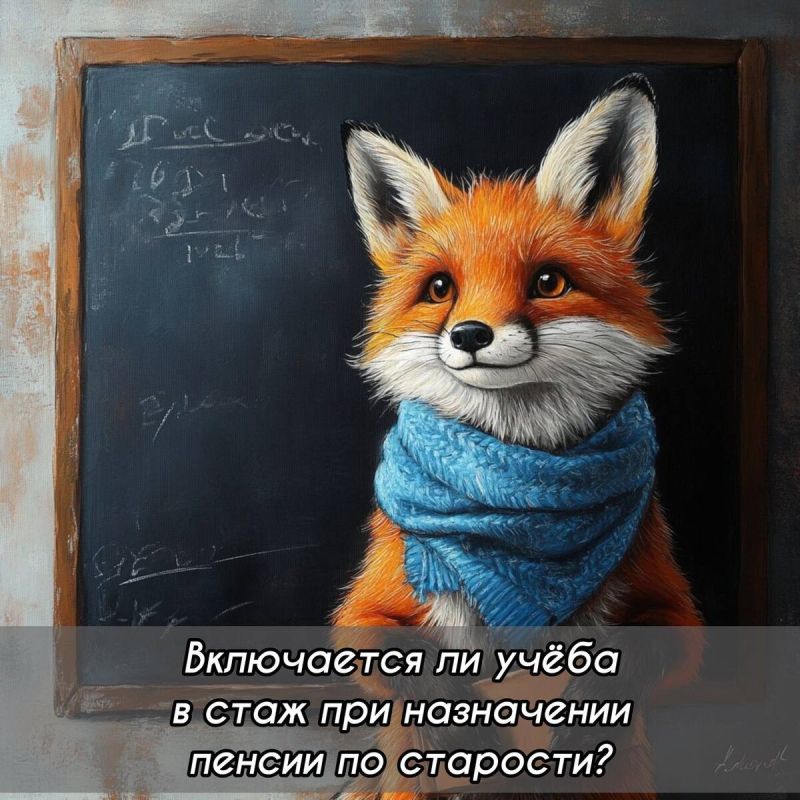 Стаж учёбы и пенсия: что нужно знать