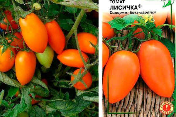 Томаты Лисичка: секреты легкого выращивания