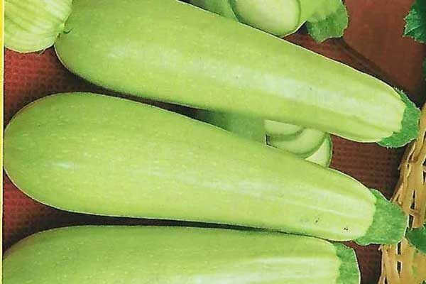 ������� �������: ��������� ����� ��� ������� �������� � ���� ������