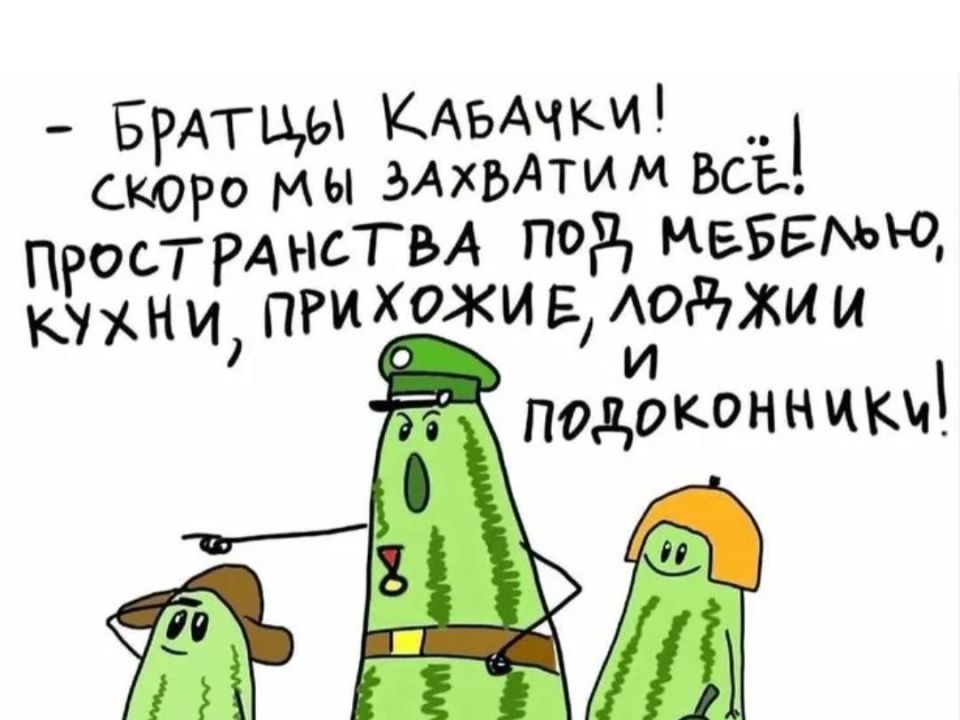Кабачковый пирог: новый взгляд на простой овощной рецепт