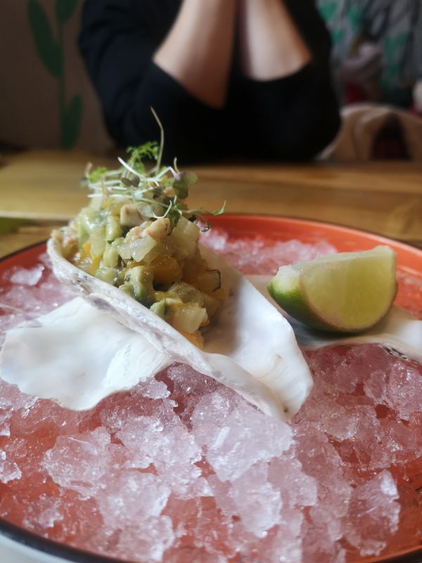 �����-�������: ���������������� ������� � ������ �������