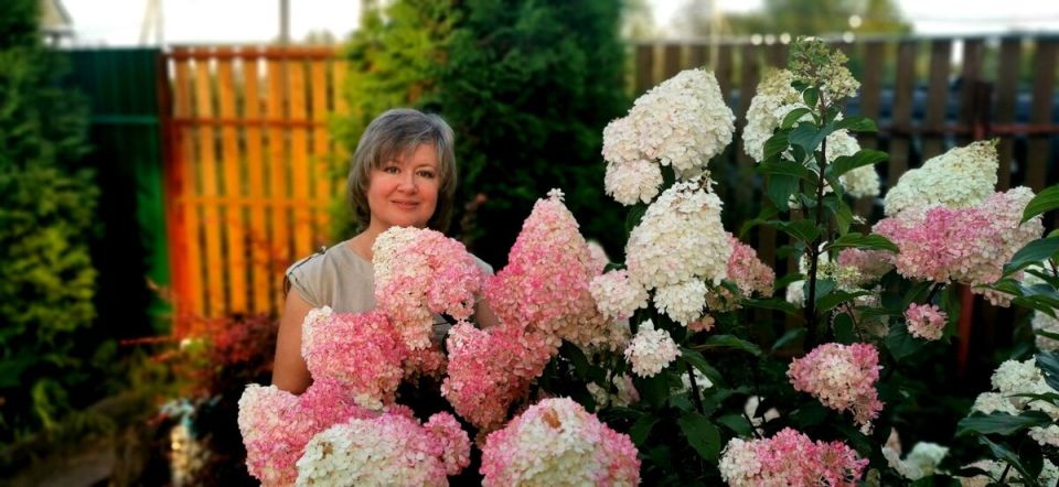 ����� ������ �������� �������� ����������� ���������: ������ � �������