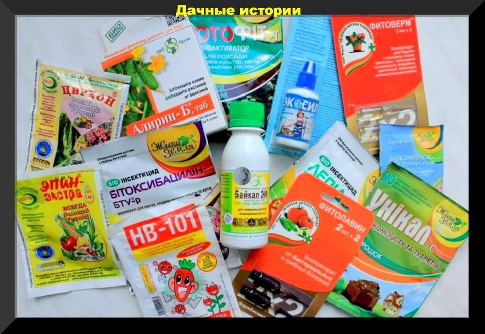 ��� ��������� ������������ �� ���������� ������