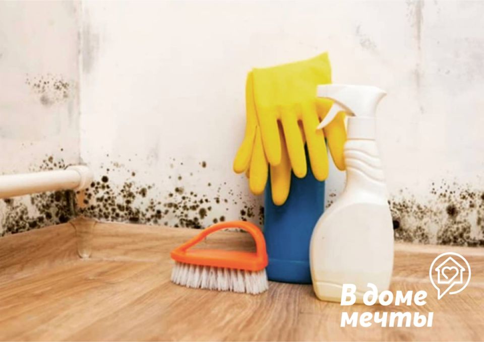 Как быстро избавиться от плесени: секреты домашнего антигрибкового арсенала