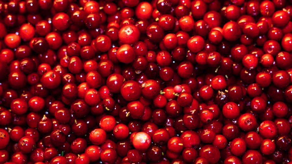 � �������� �������� ������ ������������� ������ ���: ����� ����� ����� ��� ������