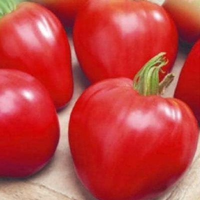 ����� �������: ��� �������� ������� ������ � ������� ������ �����