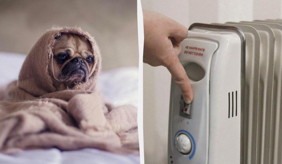 ��� �� ����� ��������� ������������: ������ ��� ������������ � �������� ���