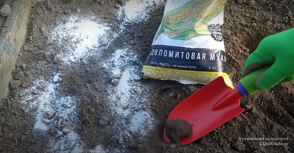 ����������� ����: ������� ��������� ���������� � ��� �� ��������� ������������