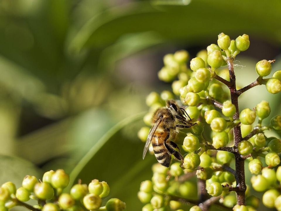 ��������: ��� ��������� ��������� �� ������� ���������