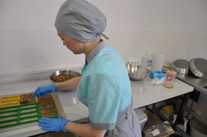 ������������� ���� ������: �������� ��������� ���������