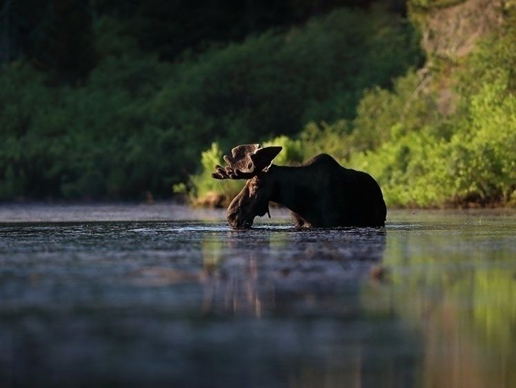 � ������ ����� ��������� ����� �� ������������� �������� ��������� ����