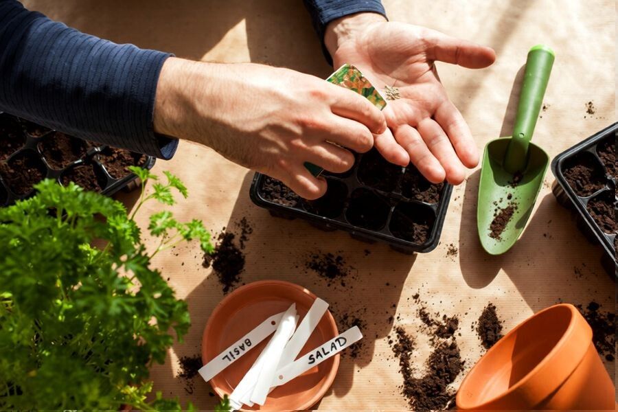 ����� ����� �� �������: ���������� ��������� ��� �����, ������� � ���������