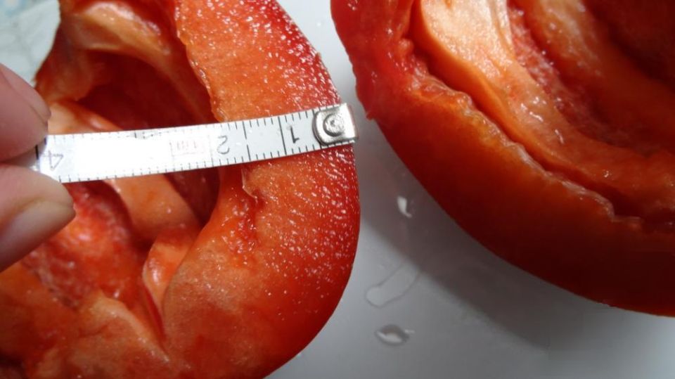 ������������� ����� ���������� ��������: ��� ������� ��������