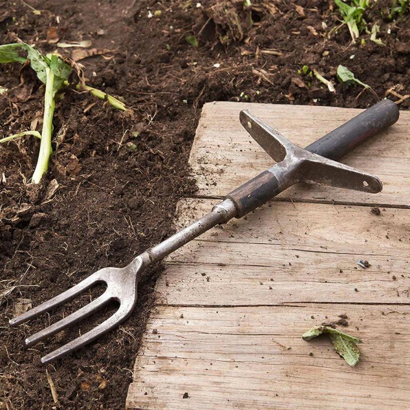 ��� ������� ��������� ������������ �� ��������� ���������� ��� ������ �������