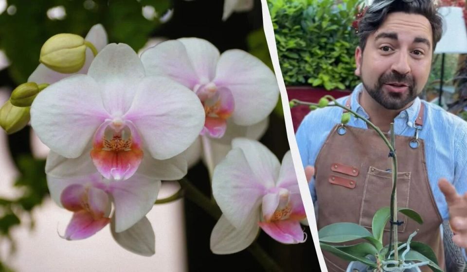 ��� ��������� ������� �������� �����: ������� �� �������� ���������