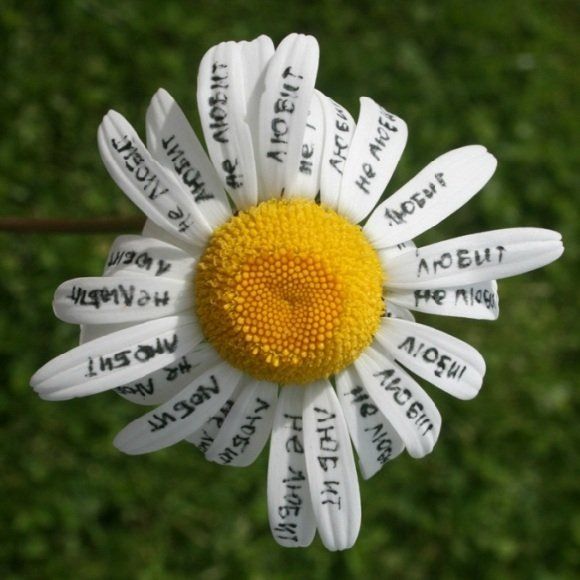 ������ �������� ����� ��������� ��� ������, ��� �������