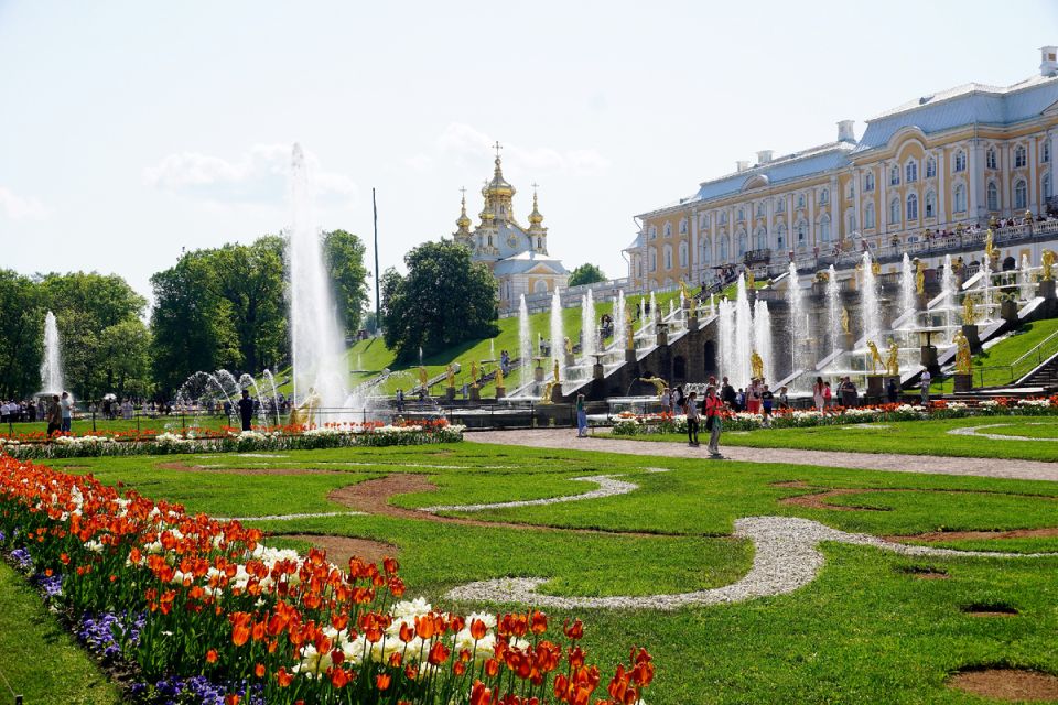 ��������: ������ 