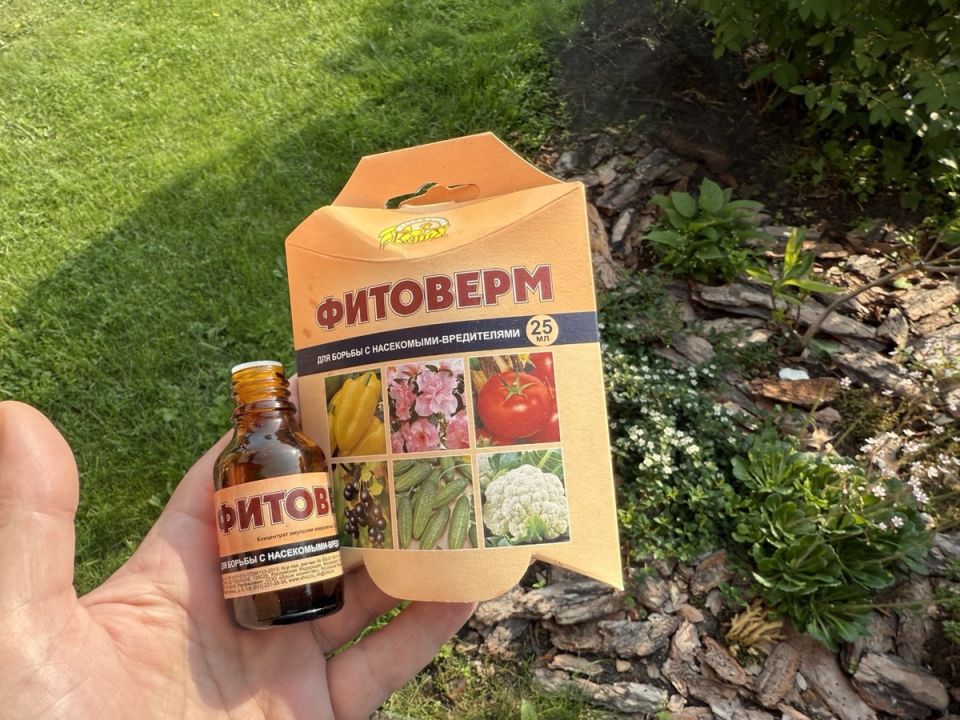 Фитоверм: все, что нужно знать о популярном средстве борьбы с вредителями