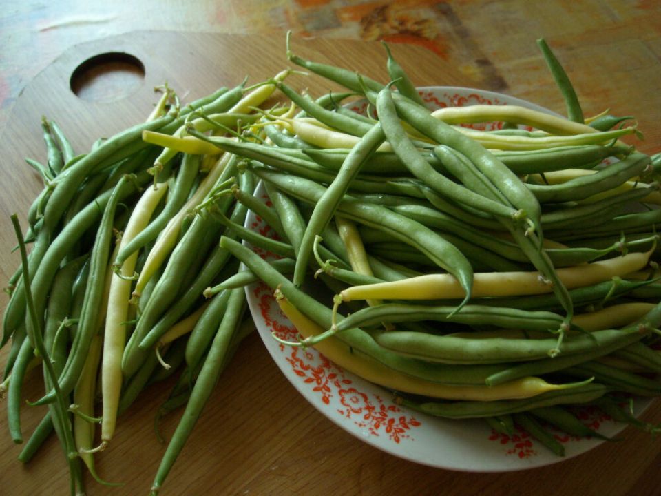 ��� ��������� ��������� ������: ������� ��������� ������