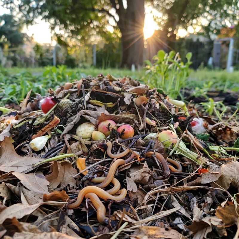 ���������� ����� �����: ������� ��������� �������� ���������