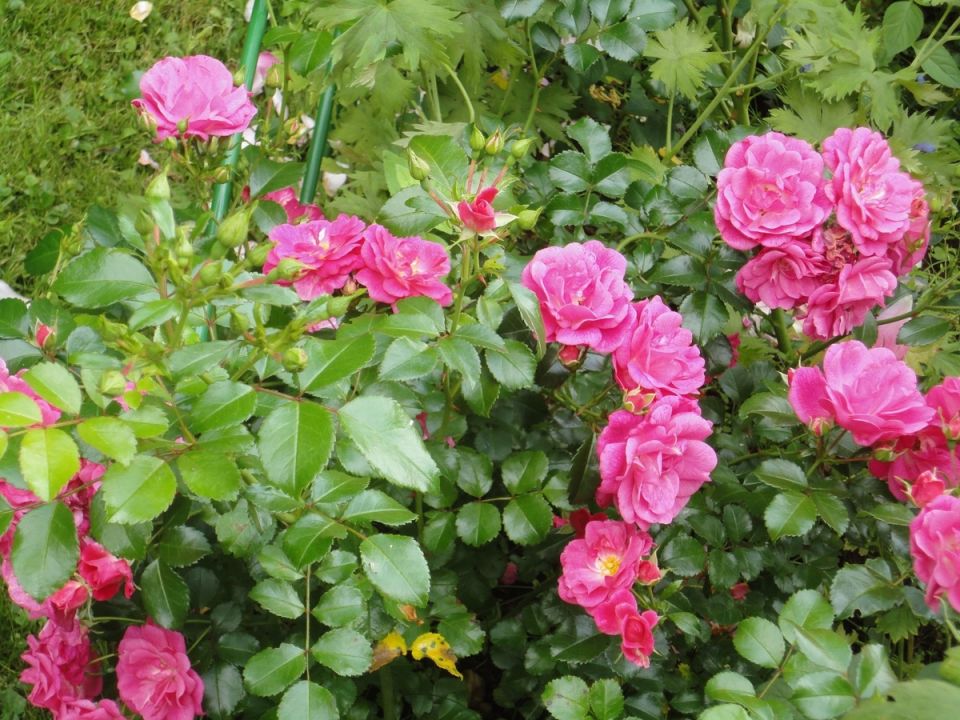 10 ���, ������� ����� �������� �� �������� �����