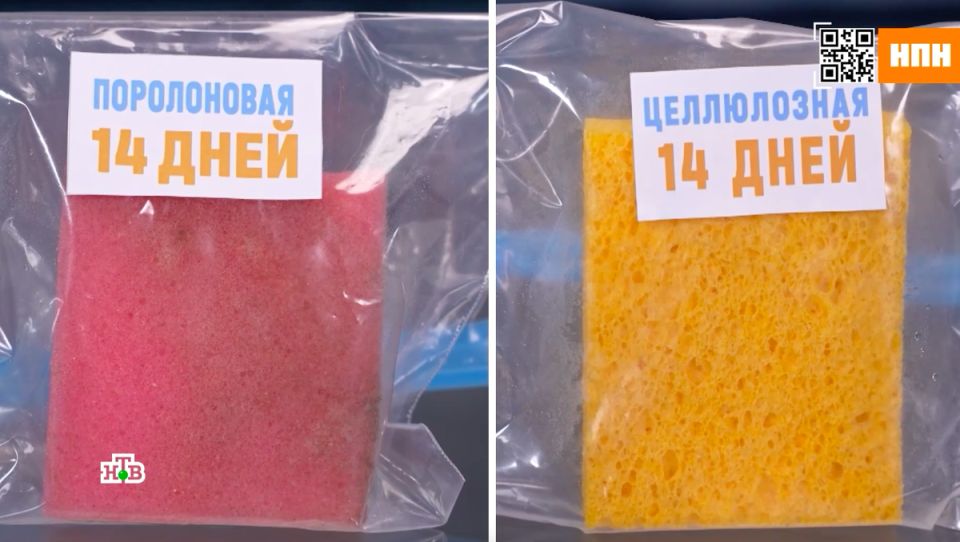 ����������� � ����������� �����: ��� ������� ��� ������� ������ ����?