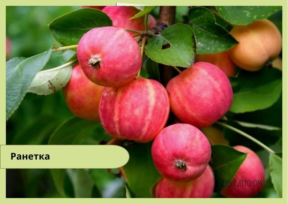 ������� ���� � ����� � ���� � ������ ������������ ������ �� �������� ��������