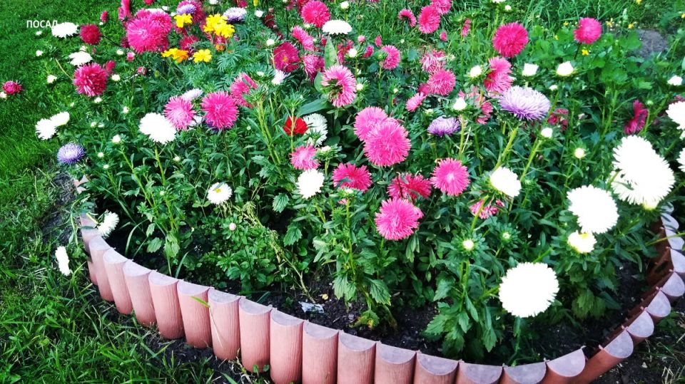 ��� ���������� ������� ������ � ������ � ��������� ������������ �� ������������