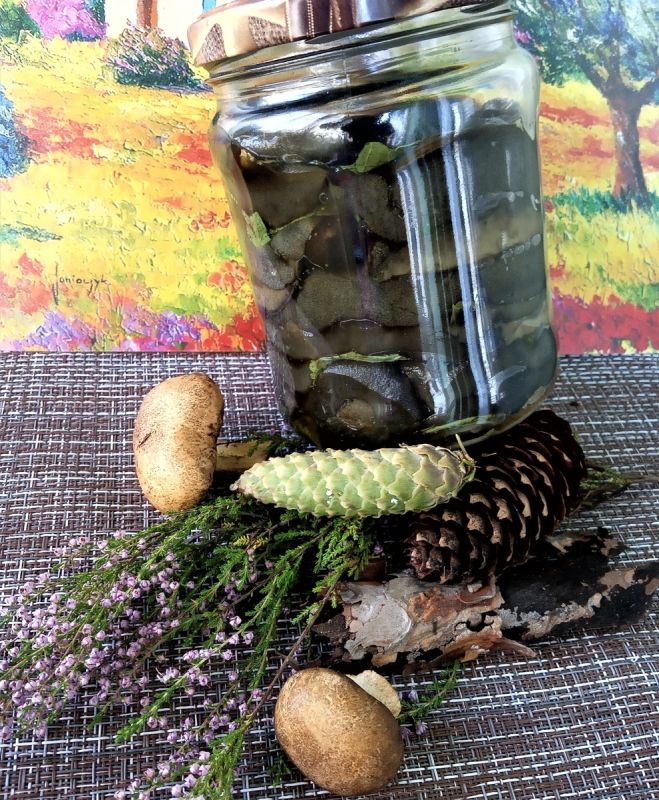 ��� ������ �������� ��������: ������� �������� �����������