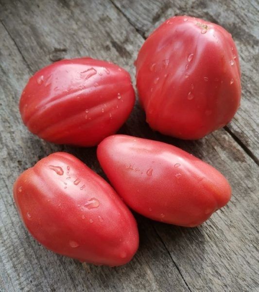 ����� ���������� �������: ������������� ���� � ������������� ������