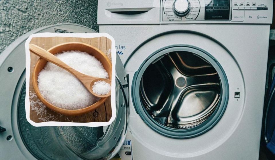 ��� ������� ���� �������� ���������� � �������� ������� �� ������