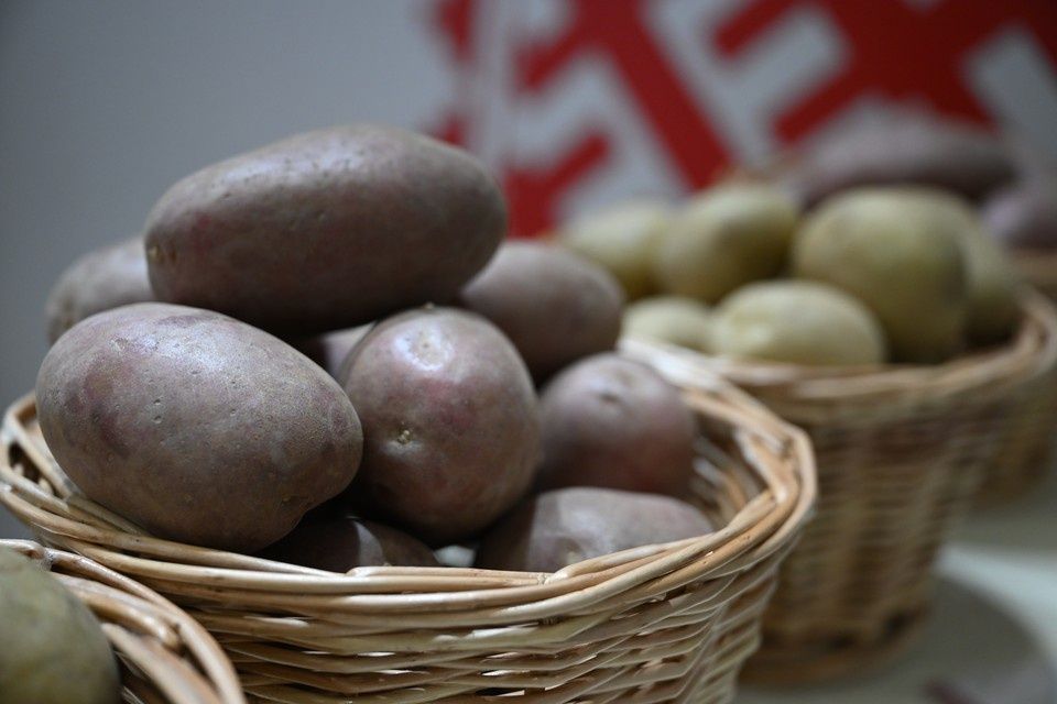 ������ ���������: ��� ������� �������� � �����