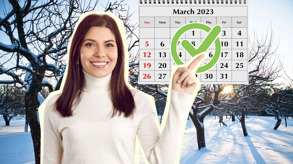 �� ����������� ������: ������� �������� � ��� ���� �������� ��������� ������