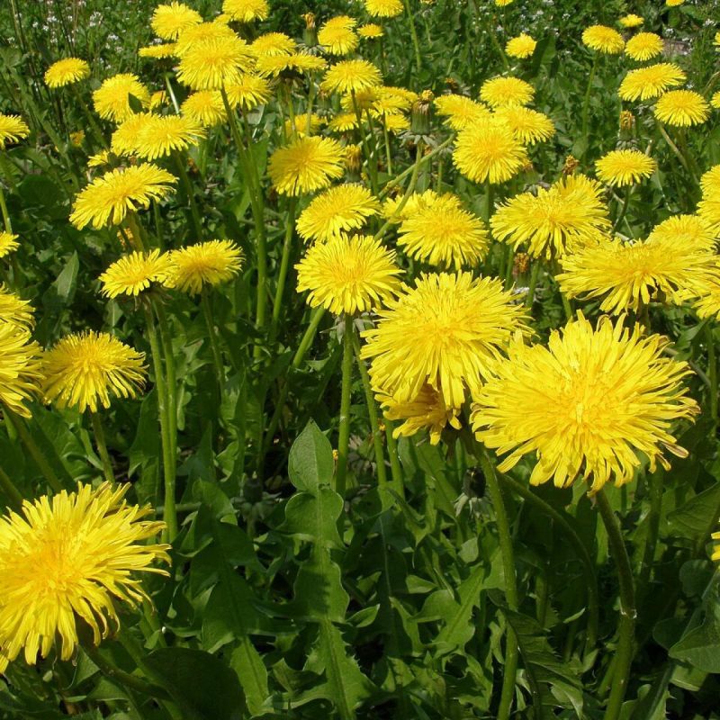 ��� ����� ����� ����� ����� �������� ��������� � ������ � ������������