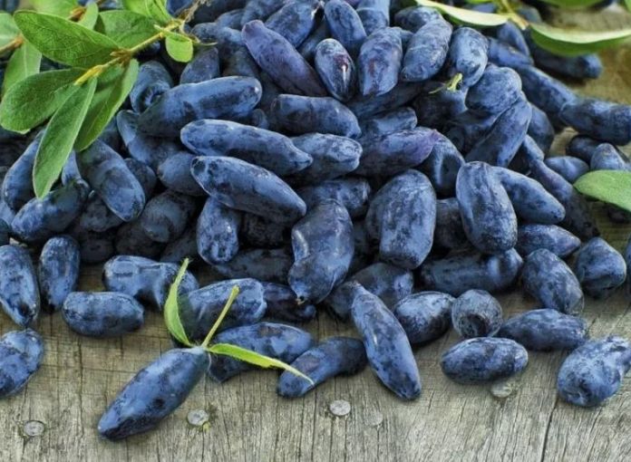 ��� ��������� ������������� ��������� ��� ����������� ������