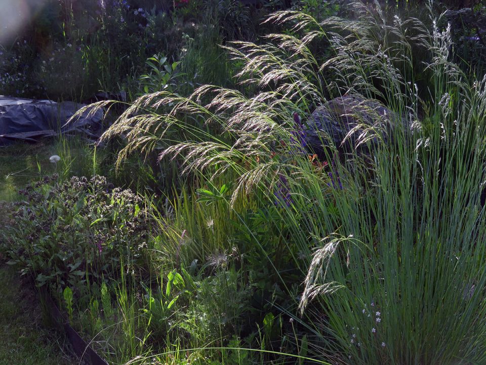 ����� ������������: ��������� ������� ��� ������ ����