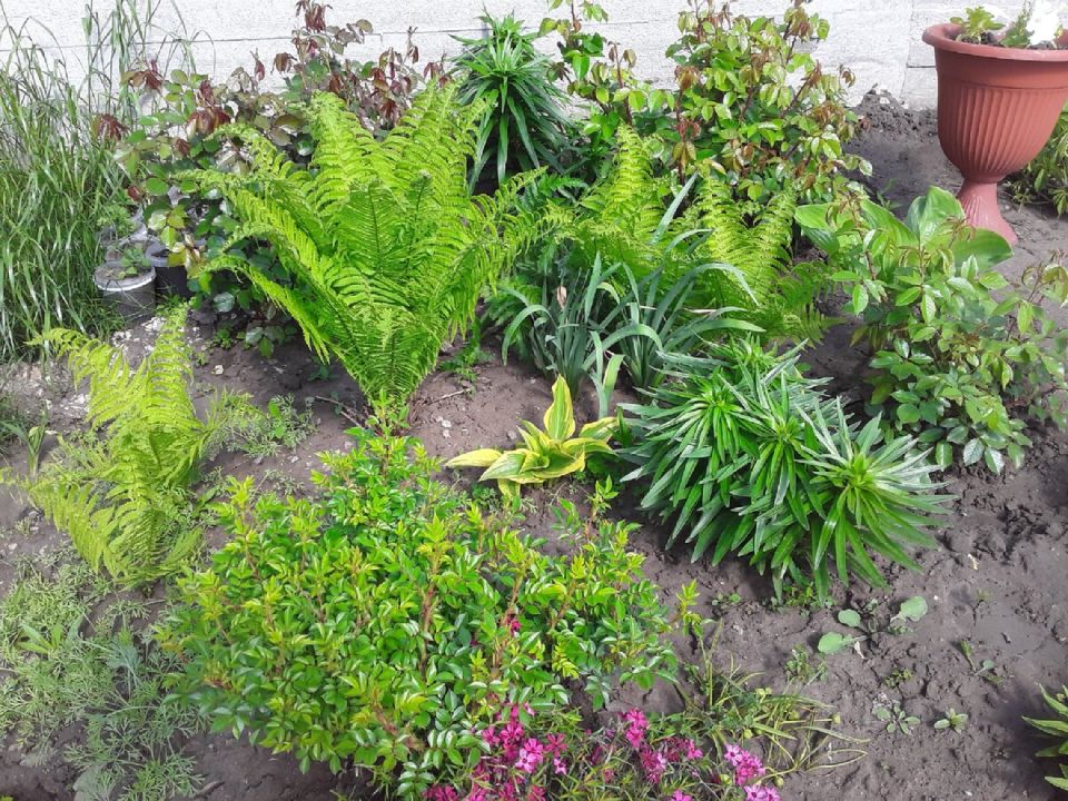 ��������� ������� ��� ���������� ��������� ���� � ����: �������� � ���� ����������